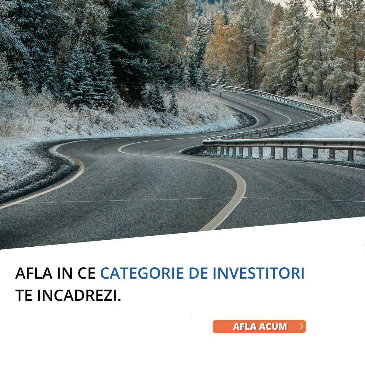 Formular materiale iarna