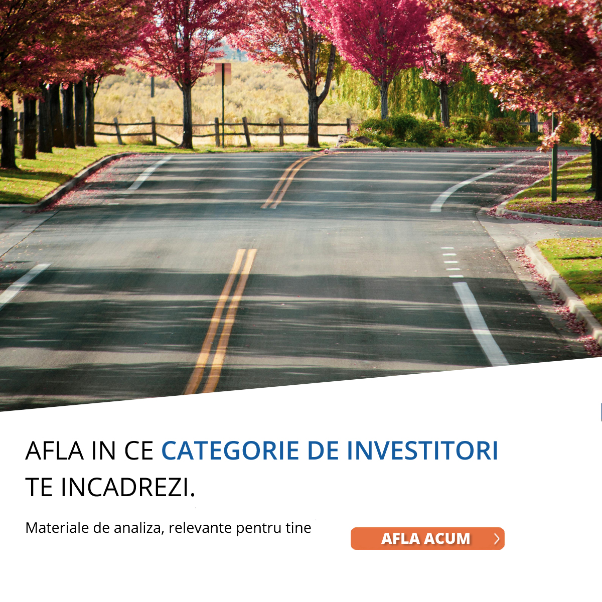 Formular materiale primavara