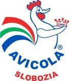 AVICOLA SA SLOBOZIA