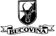BUCOVINA SA SCHEIA