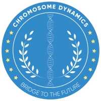 CHROMOSOME DYNAMICS