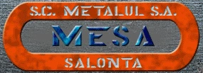 METALUL MESA SA SALONTA