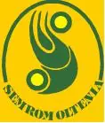SEMROM OLTENIA SA